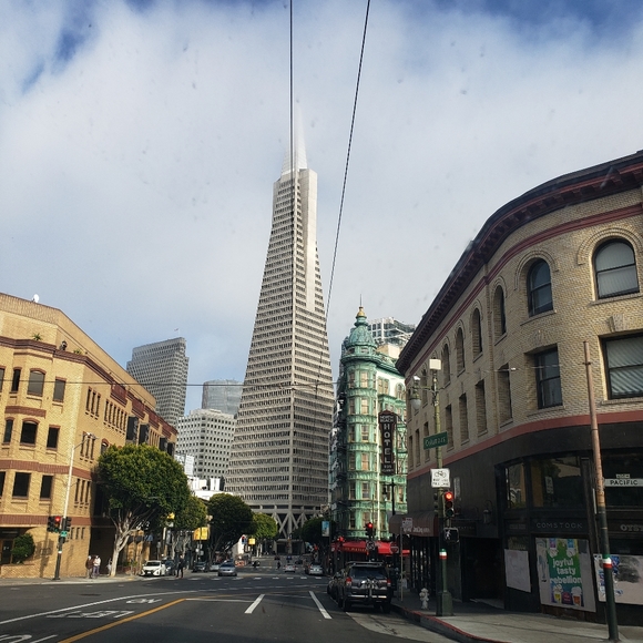 Welcome and Come With Me on My Journey - Picture 4 of 13